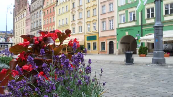 Wroclaw Polen Juli 2017 Uitzicht Het Centrale Plein Rynek Van — Stockvideo