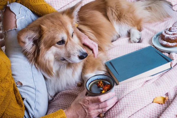 Girl and dog — Stock Photo, Image