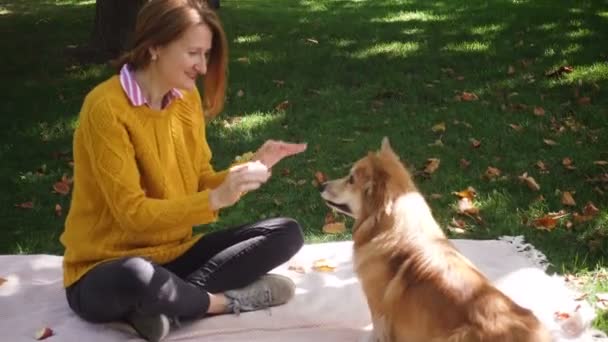 女孩与科吉狗休息在公园看书和享受 — 图库视频影像