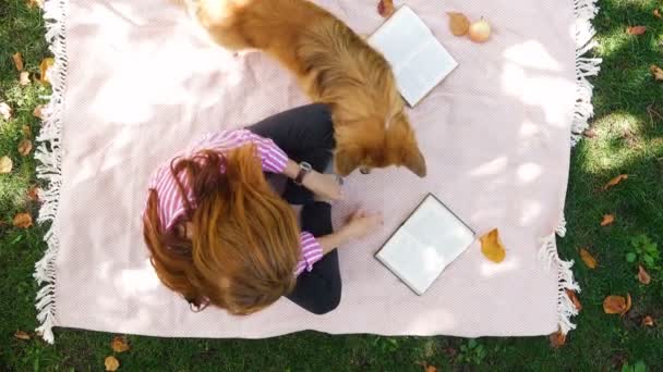 Ragazza Con Cane Corgi Che Riposa Parco Leggendo Libro Godendo — Video Stock