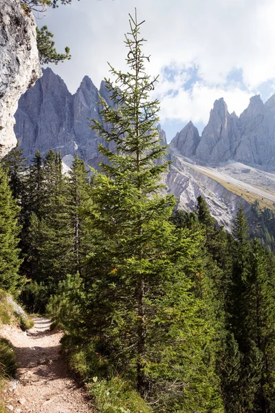 El paisaje de montaña —  Fotos de Stock