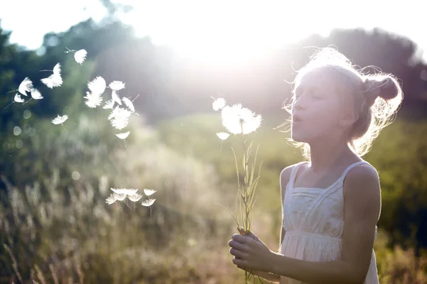 Dívka hospodářství Pampeliška — Stock fotografie