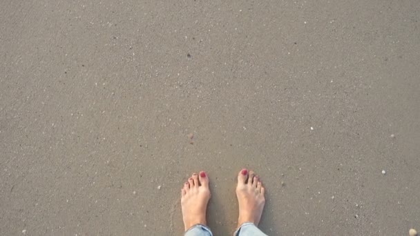 Top View Bare Woman Feets Standing Sandy Beach Washed Sea — Stockvideo