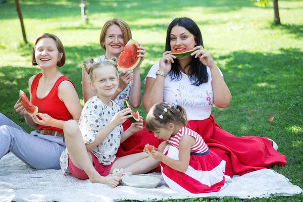 Happy family at a picnic — Stock Photo, Image