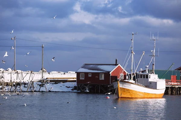 Bay in winter — Stock Photo, Image