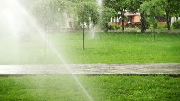 Grässprinkler Äng Vid Parken — Stockvideo