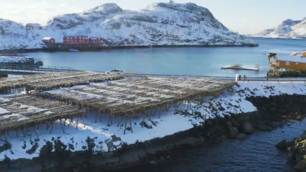 在真正的传统渔村里晒干的鳕鱼 背景是冬季挪威罗浮敦岛传统的红色罗浮宫 — 图库视频影像