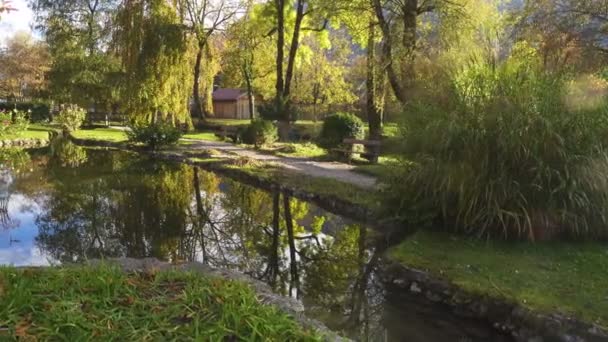 Caminando Soleado Parque Otoño Con Vista Los Rayos Sol Reflejándose — Vídeo de stock