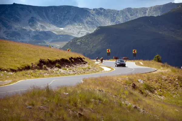 Yaz Gezisi Güzel Bir Manzara Dağ Yolu Manzarası Romanya Transfagarasa — Stok fotoğraf