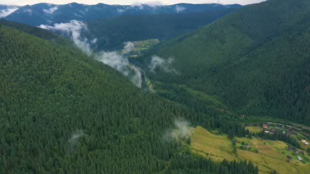 Sobrevolando Hermoso Valle Nublado Bosque Pinos — Vídeo de stock