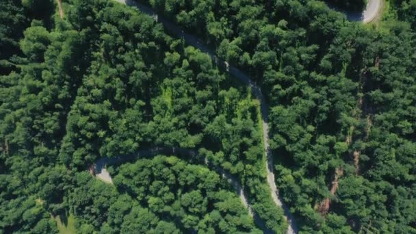 Luftaufnahme Der Berühmten Rumänischen Bergstraße Transalpina Einem Sonnigen Sommertag — Stockvideo