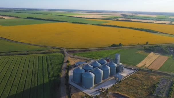 Modern Grain Silos Elevator Field Blooming Sunflowers Aerial View — Stock Video