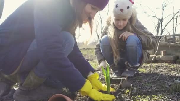 Mother Daughter Planting Flower Garden Sunny Early Spring Day — Stock Video