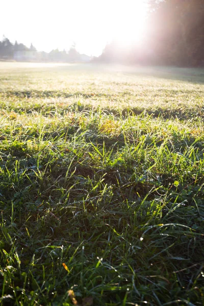 Vue Sur Vallée Petit Matin Automne Chemin Terre Herbe Dans — Photo