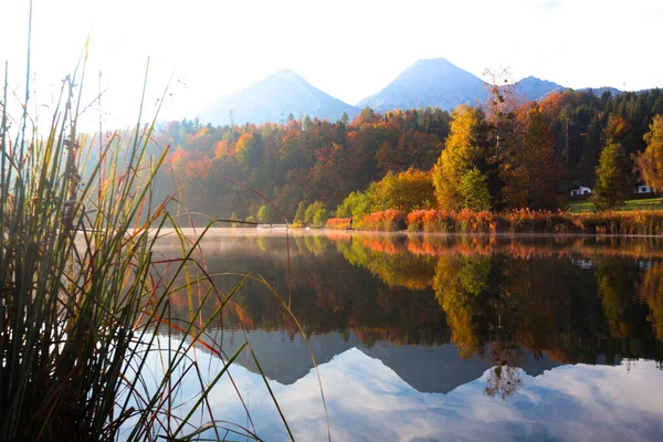 Paisagem Com Belo Lago Montanha Com Reflexão Autum — Fotografia de Stock