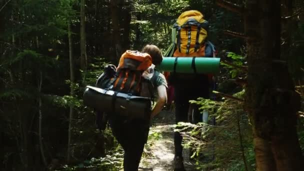 Сім Під Час Походу Гірському Лісі — стокове відео
