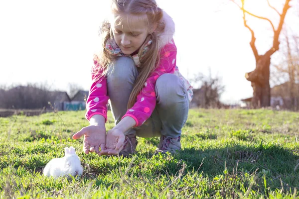 Ragazza Coniglio Sul Prato Giardino Tramonto — Foto Stock