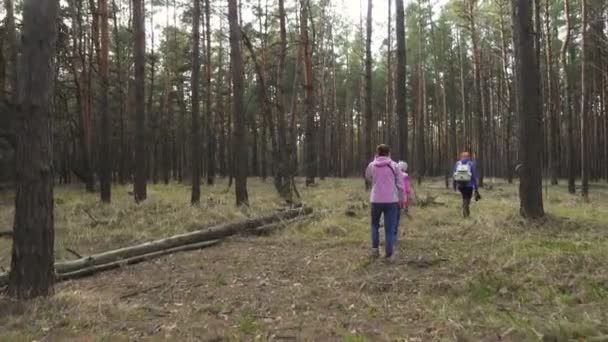 Anne Iki Kızı Güneşli Bahar Gününde Ormanda Yürüyorlar — Stok video