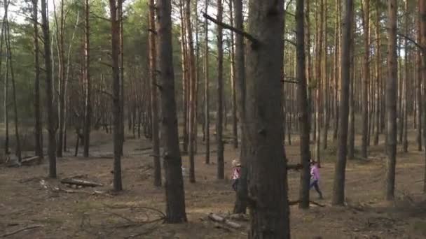 Madre Con Due Figlie Che Passeggiano Nel Bosco Nella Soleggiata — Video Stock