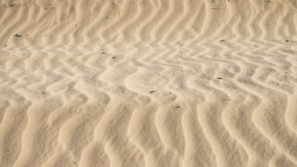 Sand Vågor Öknen Abstrakt Närbild Bakgrund — Stockvideo