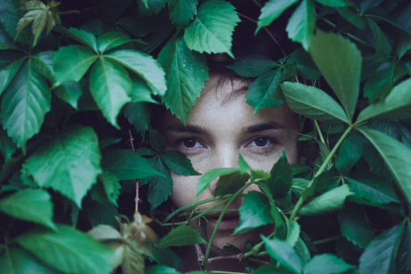 Portret Dziewczynki Liście Dzikich Winogron Naturalny Oświetlenie Tła — Zdjęcie stockowe