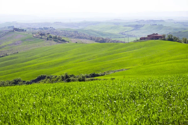 Paisagem Típica Toscana Uma Vista Uma Vila Uma Colina Campos — Fotografia de Stock