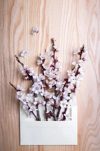 Branches Abricot Fleurs Dans Une Enveloppe Sur Fond Bois Fond — Photo