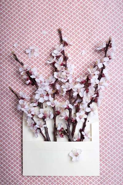 Brins Abricot Fleurs Dans Une Enveloppe Fond Floral Printemps Est — Photo