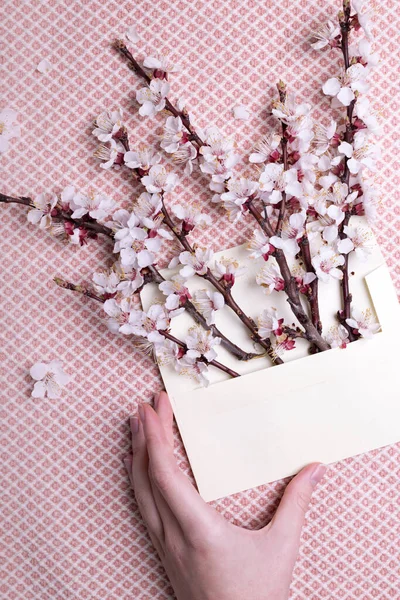 Brins Abricot Fleurs Dans Une Enveloppe Les Mains Femme Fond — Photo