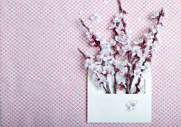 Branches Abricot Fleurs Dans Une Enveloppe Sur Fond Bois Fond — Photo