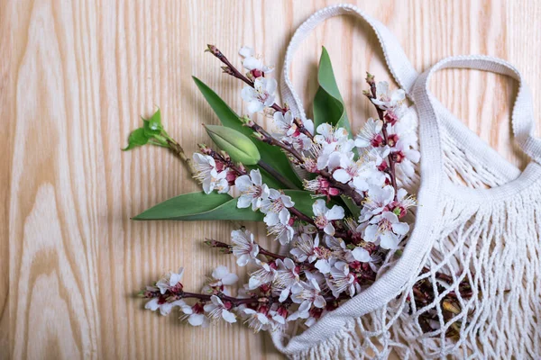 Mesh Bag Sprigs Blossoming Aprico — Stock Photo, Image