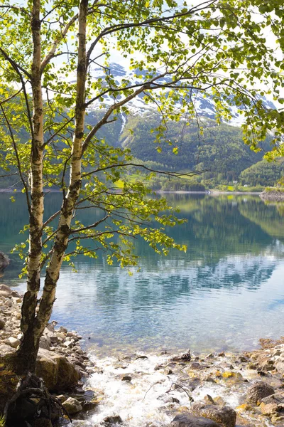 Berglandschaft Birke See Und Berge Hintergrund Norwa — Stockfoto