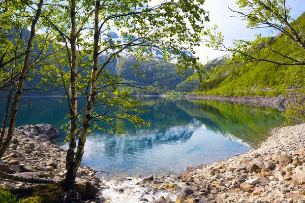 Paisagem Montanhosa Vidoeiro Lago Montanhas Fundo Norwa — Fotografia de Stock