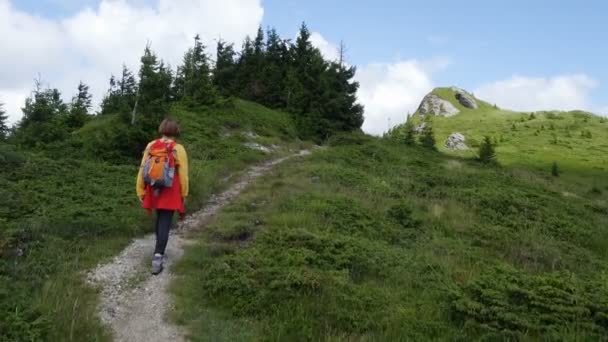 Menina Caminhante Caminhando Pelo Caminho Nas Montanhas — Vídeo de Stock