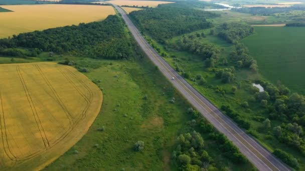 Вид Воздуха Зеленые Поля Раннего Лета Дорогу Проходящую Через — стоковое видео