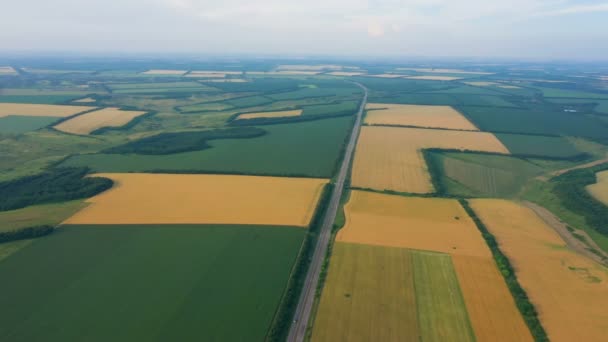 Aerial View Early Summer Green Fields Road Going — Stock Video