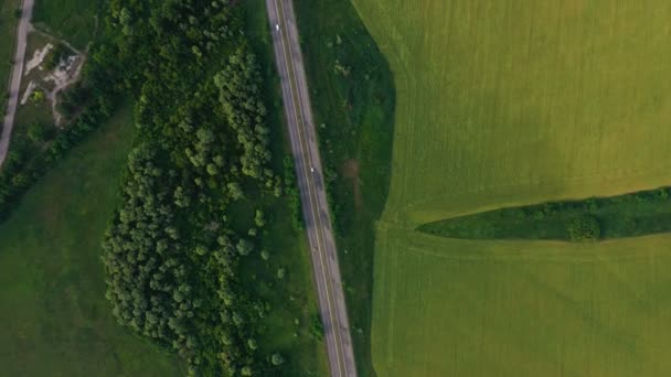 Vista Aérea Los Campos Verdes Principios Verano Carretera Que Atraviesa — Vídeo de stock