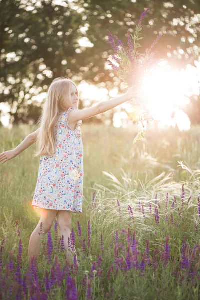 Léto Krásná Dívka Louce Kyticí Salvi — Stock fotografie