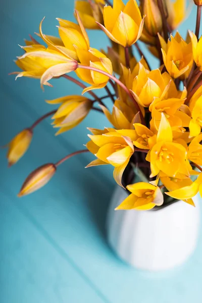 Zátiší Krásné Divoké Žluté Tulipány Vinobraní Vázy Modrém Pozadí — Stock fotografie