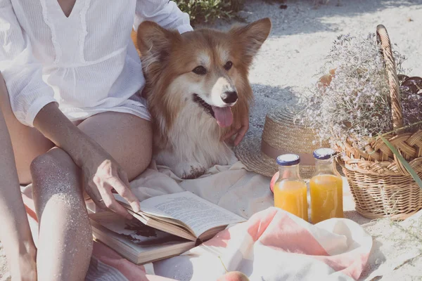 Summer - picnic by the sea. basket for a picnic with with buns, apples and juice. girl and dog on a picni