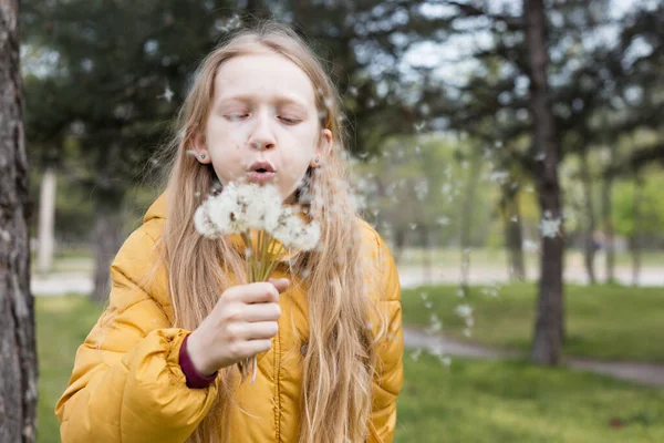 Blonde Little Girl Blowing Dandelions Spring Holidays Moo — Stock Photo, Image