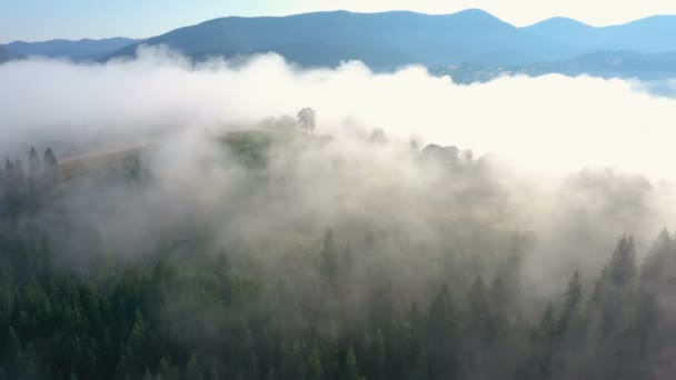 Desa Pegunungan Pagi Ditutupi Dengan Awan Panorama Udara Vorokhta Carpathians — Stok Video