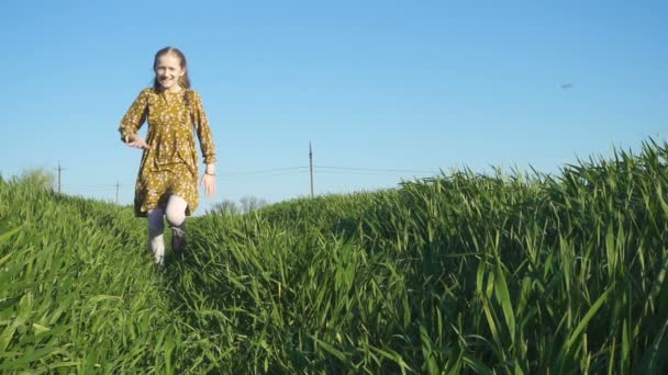 Menina Sorrindo Feliz Criança Correndo Campo Verde Dia Ensolarado Verão — Vídeo de Stock