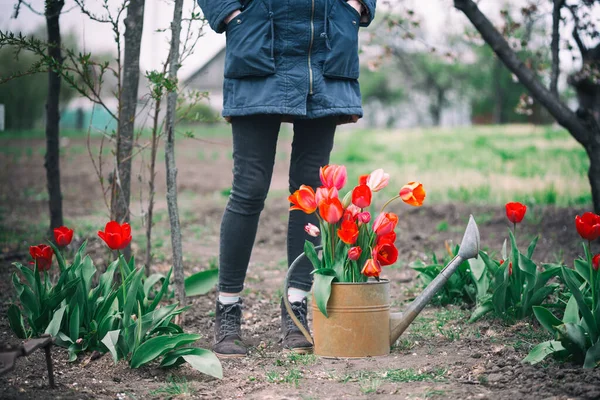 Girl Watering Can Tulips Tools Garden Spring Gardenin — Stock Photo, Image