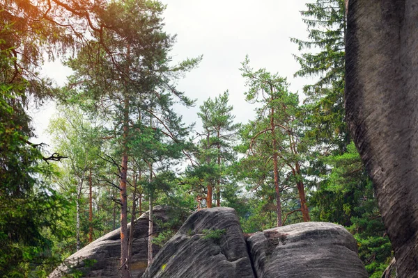 Bellissimo Paesaggio Adrspach Teplice Rocce Repubblica Ceca — Foto Stock