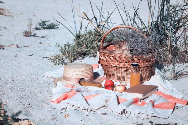 Sommar Picknick Vid Havet Korg För Picknick Med Bullar Äpplen — Stockfoto