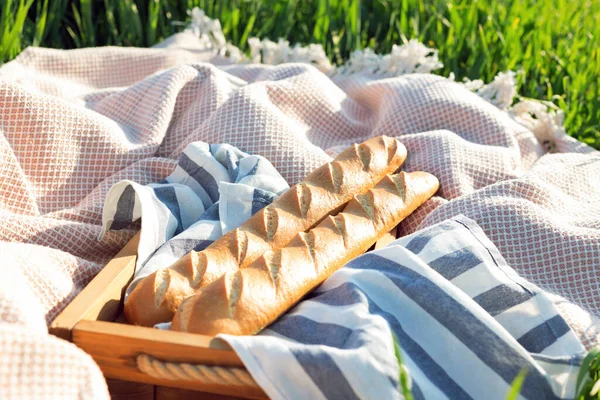 Nyár Piknik Réten Baguette Zöld Grasról — Stock Fotó