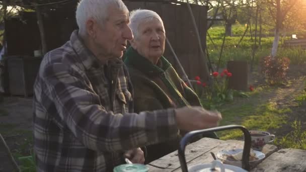 Pareja Ancianos Sentados Aire Libre Jardín Casa Rural Comiendo Pastel — Vídeo de stock