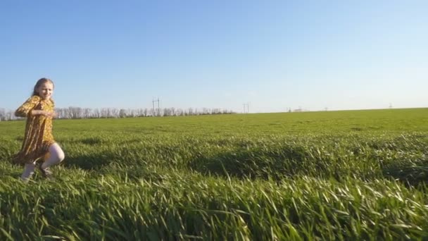 Glad Leende Barn Flicka Som Springer Det Gröna Fältet Solig — Stockvideo