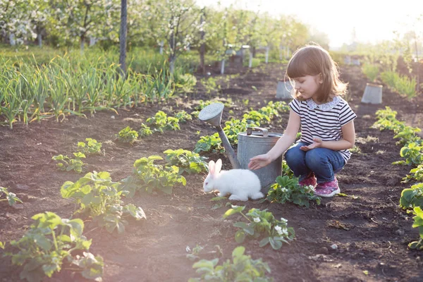 Ragazza Coniglio Giardino Infanzia Felice Nel Villaggio — Foto Stock